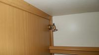 assets/Oferta/JEDNOOSIOWE/TEC-SPRINTER-1999/P1020526.JPG